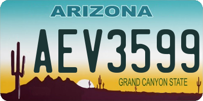 AZ license plate AEV3599