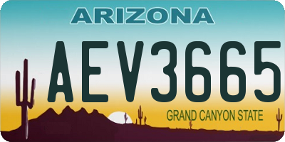 AZ license plate AEV3665
