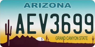 AZ license plate AEV3699