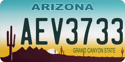 AZ license plate AEV3733