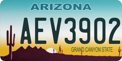 AZ license plate AEV3902