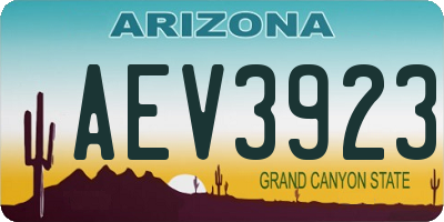 AZ license plate AEV3923
