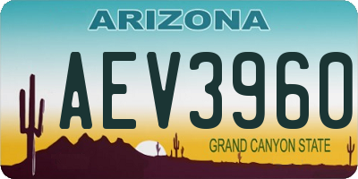 AZ license plate AEV3960