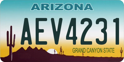 AZ license plate AEV4231