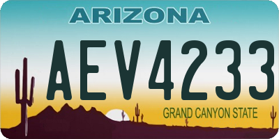 AZ license plate AEV4233