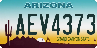 AZ license plate AEV4373