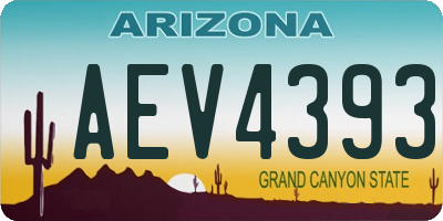 AZ license plate AEV4393