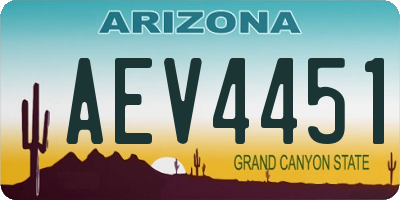 AZ license plate AEV4451