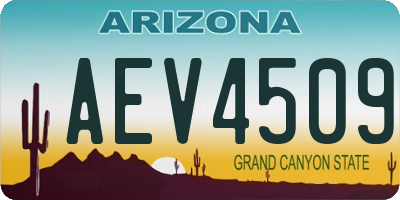 AZ license plate AEV4509