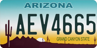 AZ license plate AEV4665