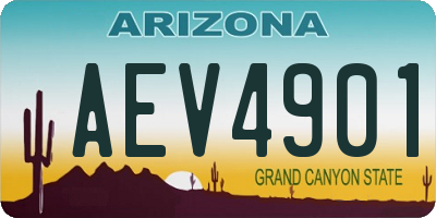 AZ license plate AEV4901