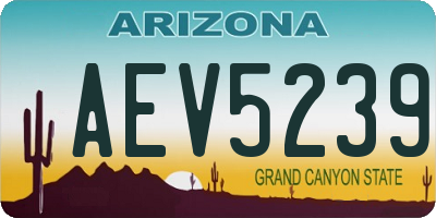 AZ license plate AEV5239