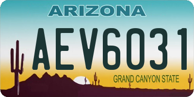 AZ license plate AEV6031