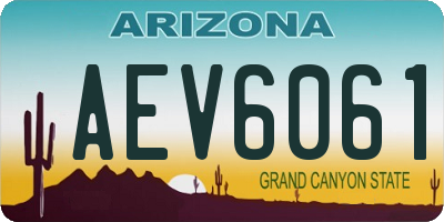 AZ license plate AEV6061