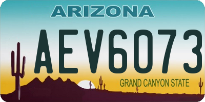 AZ license plate AEV6073