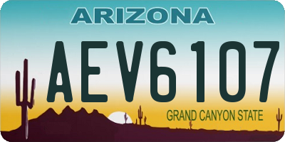 AZ license plate AEV6107