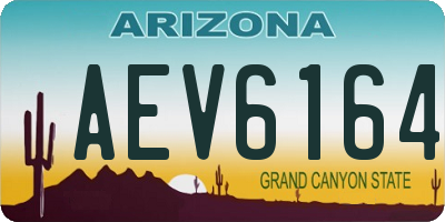 AZ license plate AEV6164