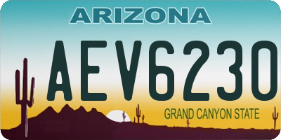 AZ license plate AEV6230