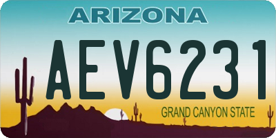AZ license plate AEV6231
