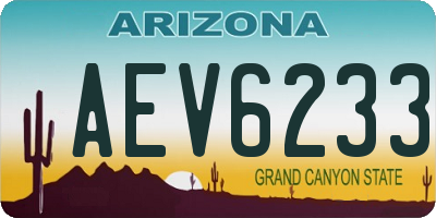 AZ license plate AEV6233