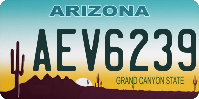 AZ license plate AEV6239