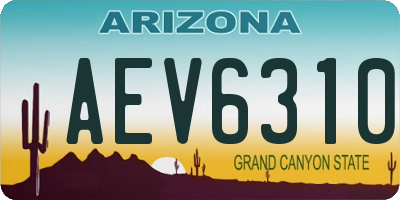 AZ license plate AEV6310