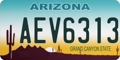 AZ license plate AEV6313