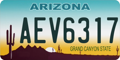 AZ license plate AEV6317
