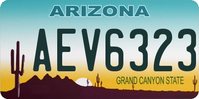 AZ license plate AEV6323