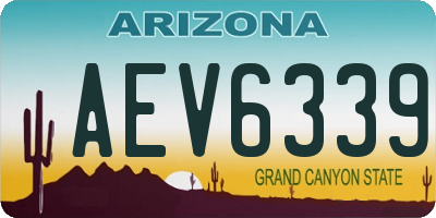 AZ license plate AEV6339