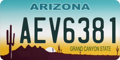 AZ license plate AEV6381