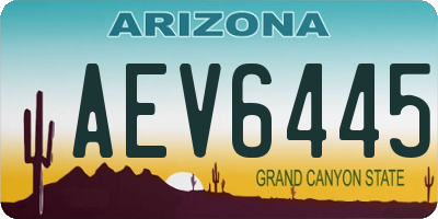 AZ license plate AEV6445