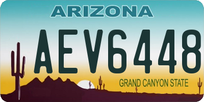 AZ license plate AEV6448