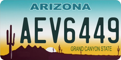 AZ license plate AEV6449