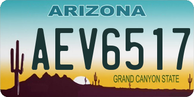 AZ license plate AEV6517