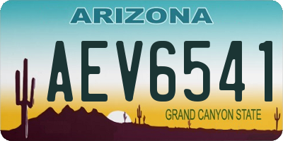 AZ license plate AEV6541