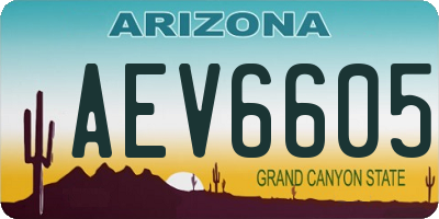 AZ license plate AEV6605