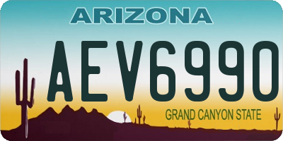 AZ license plate AEV6990