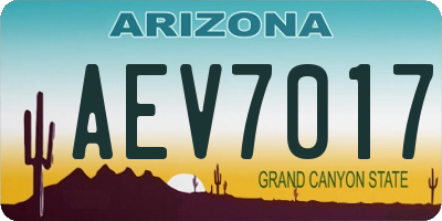AZ license plate AEV7017