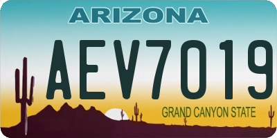 AZ license plate AEV7019