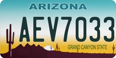 AZ license plate AEV7033