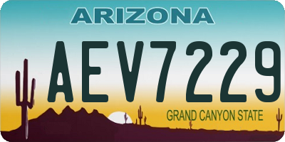 AZ license plate AEV7229