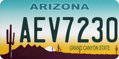 AZ license plate AEV7230