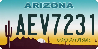 AZ license plate AEV7231