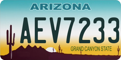 AZ license plate AEV7233