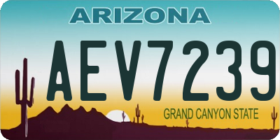 AZ license plate AEV7239