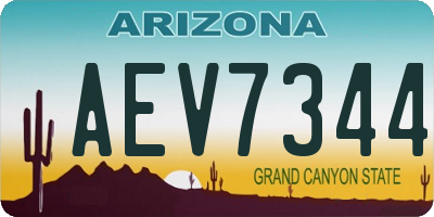 AZ license plate AEV7344