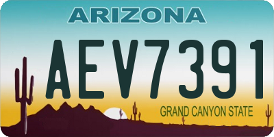 AZ license plate AEV7391