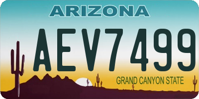 AZ license plate AEV7499