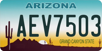 AZ license plate AEV7503